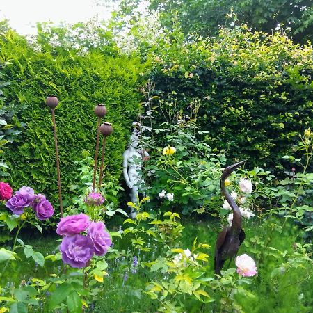 ホーンキャッスル Mountain Ash Bed & Breakfast エクステリア 写真