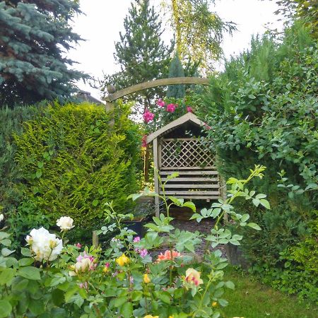 ホーンキャッスル Mountain Ash Bed & Breakfast エクステリア 写真