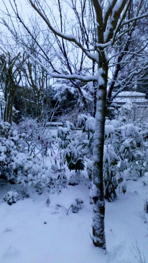 ホーンキャッスル Mountain Ash Bed & Breakfast エクステリア 写真