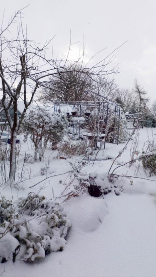 ホーンキャッスル Mountain Ash Bed & Breakfast エクステリア 写真