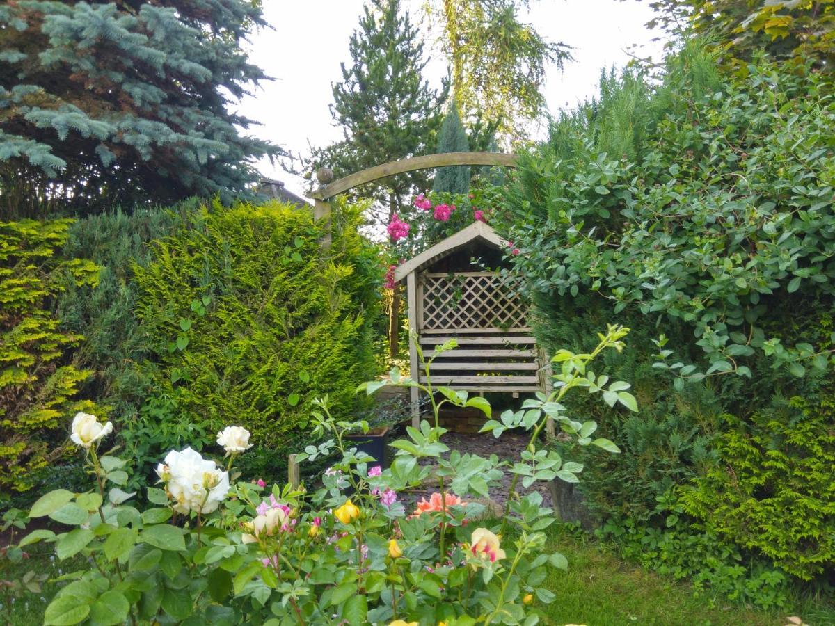 ホーンキャッスル Mountain Ash Bed & Breakfast エクステリア 写真